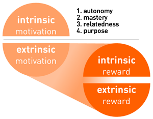 intrinsic reward definition